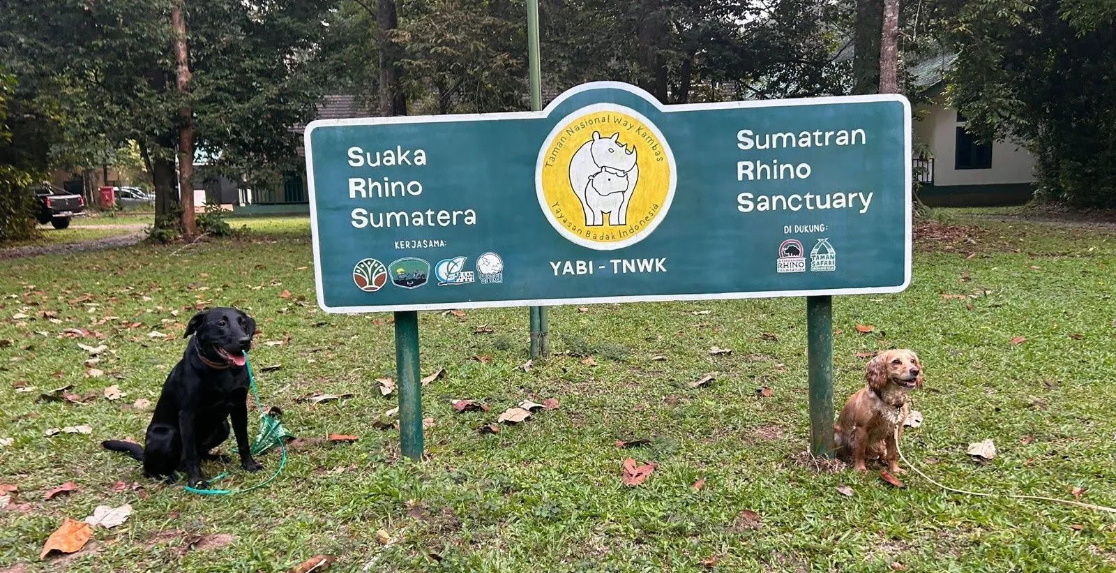 Two Sniffer Dogs Might Have Just Found a Lost Population of Critically Endangered Rhinos