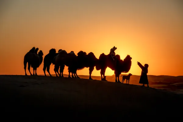 Waiting in the desert thumbnail