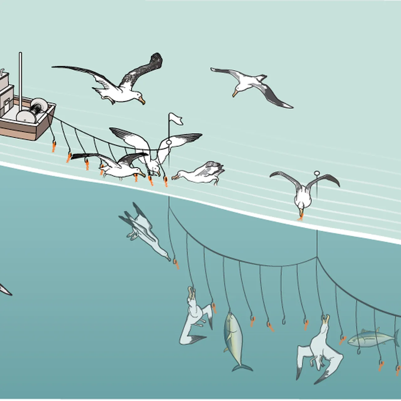 How to Keep Birds off Your Boat 