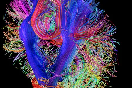 The challenge is to figure out how all that wiring works.