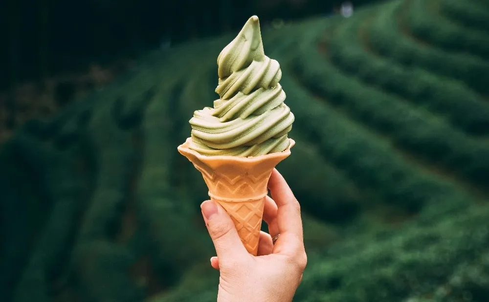 From forests to fish to flakes of snow, the science behind ice cream reaches beyond the cone. (Taryn Ellio)