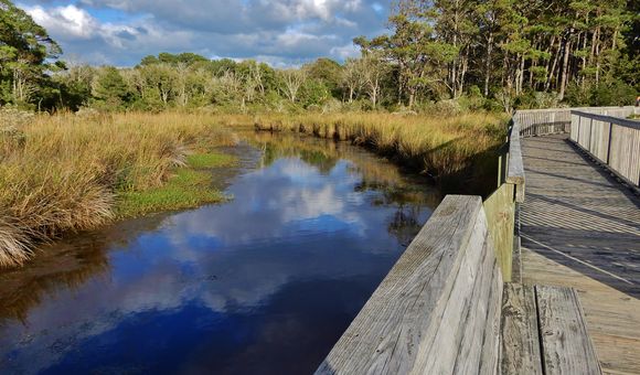 A clear blue river winds through a reedy wetland, reflecting the clouds overhead. A wooden boardwalk with rails overlooks the river on the right.