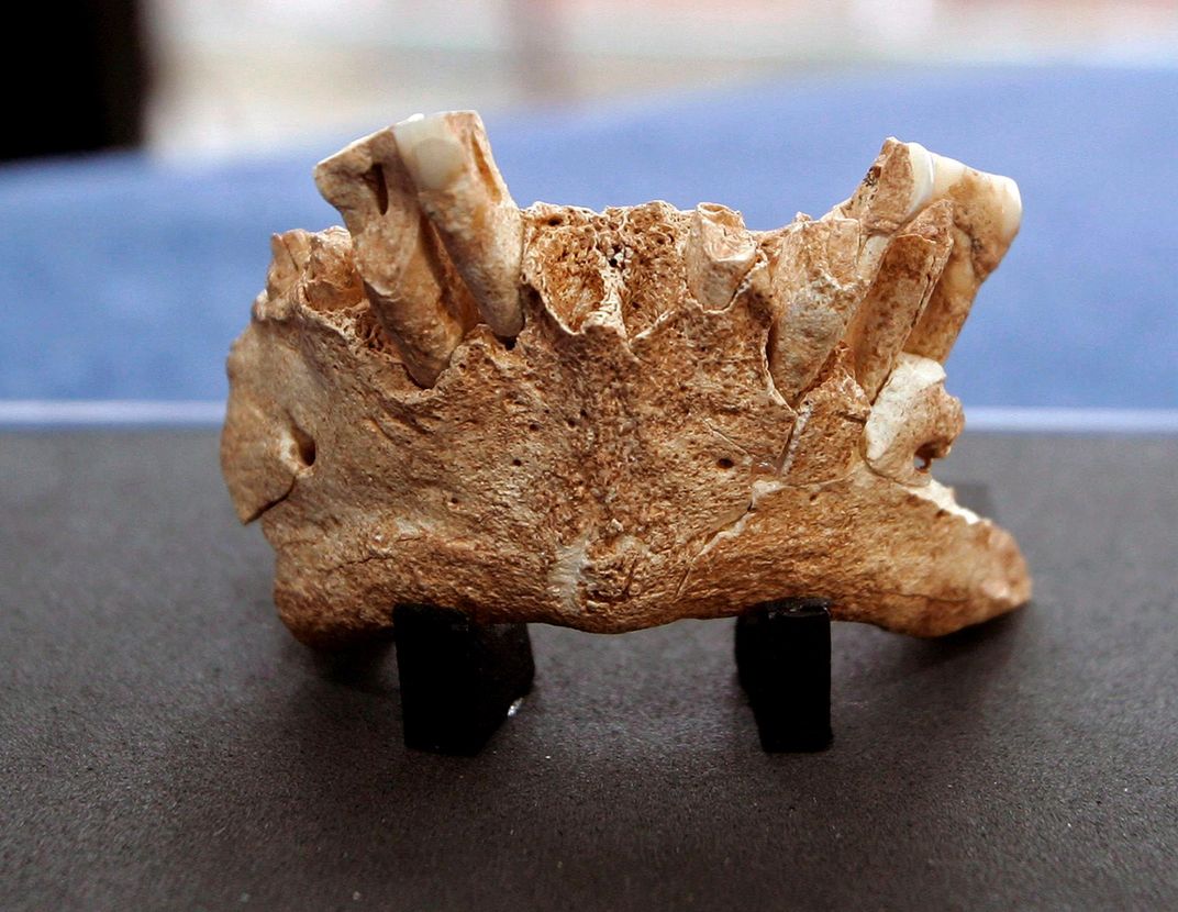 Atapuerca Jawbone Spain