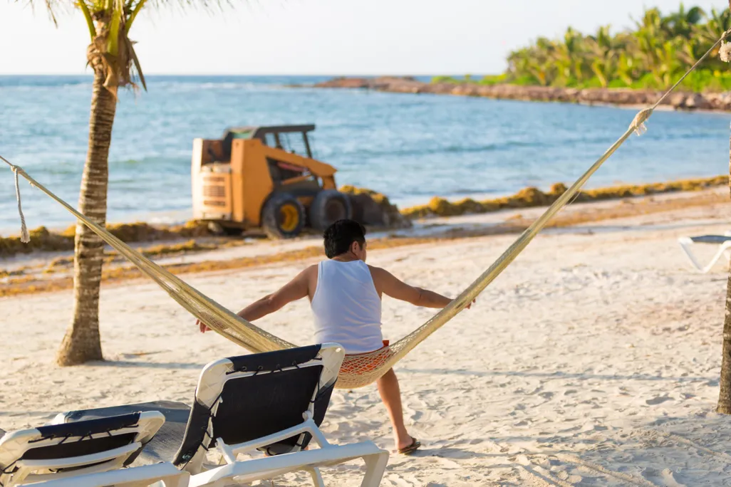 hammock