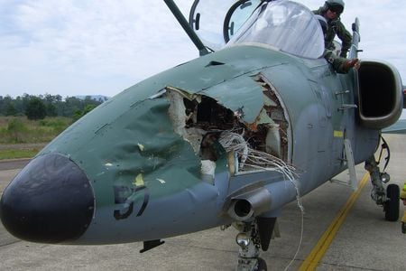 A Brazilian Air Force AMX with birdstrike damage. Birds are feathers and bone—no bets what metal and plastic would do.