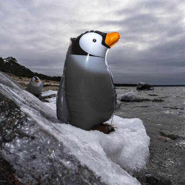 The Penguin thumbnail