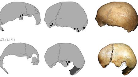 Skull cups from Gough's Cave