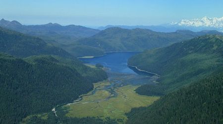 Greenland may eventually resemble the lush Tongass National Forest in Alaska.