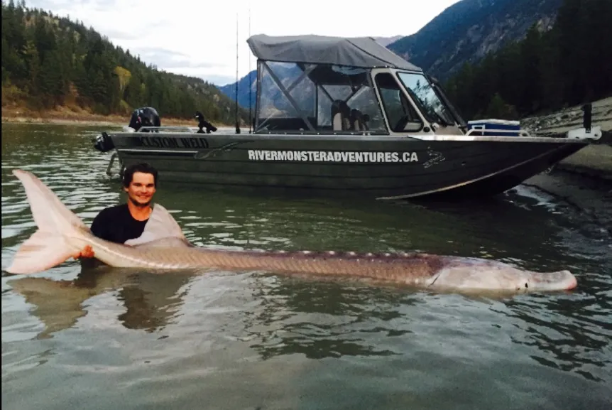 Canadian Fishermen Caught Fabled 650-Pound, Century-Old Sturgeon, Smart  News