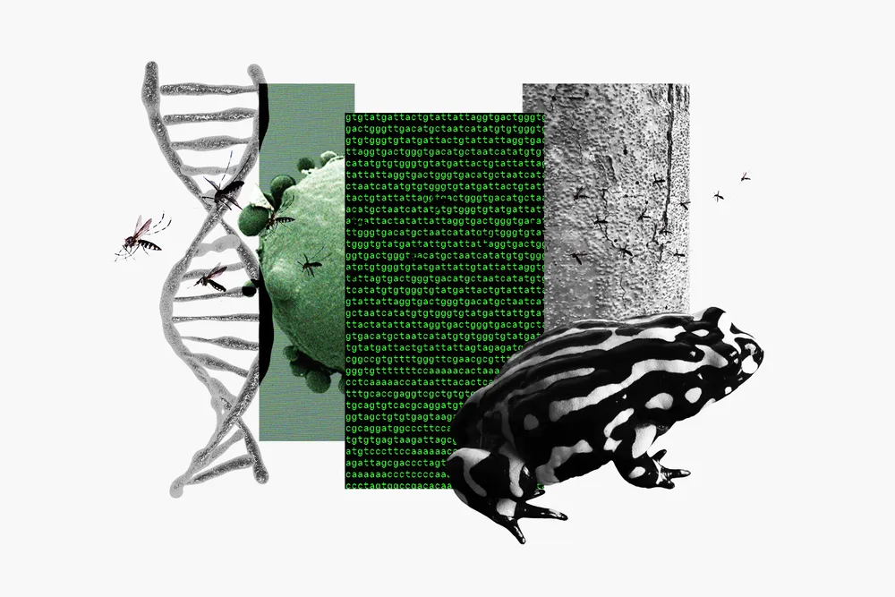 an illustration with a DNA molecule, mosquitoes, a striped frog, numbers of genetic code, a chestnut tree and a fungal spore