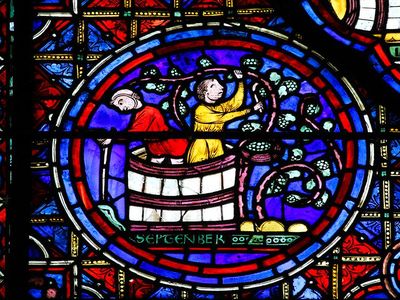 Window at Chartres Cathedral. 