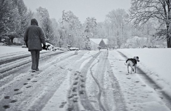 Walking the dog in the snow | Smithsonian Photo Contest | Smithsonian ...