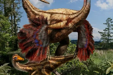 Not only was Ornithomimus feathered, but the dinosaur’s fluffy coat changed as it aged.