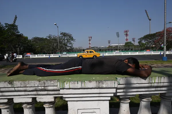 Mid-day Nap thumbnail