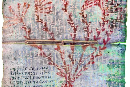 Arabic New Finds 8