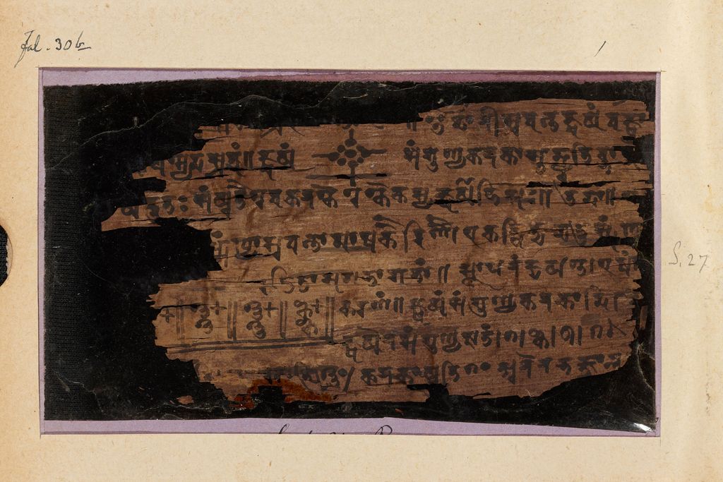 MS.+Sansk_d.14_16v.jpg