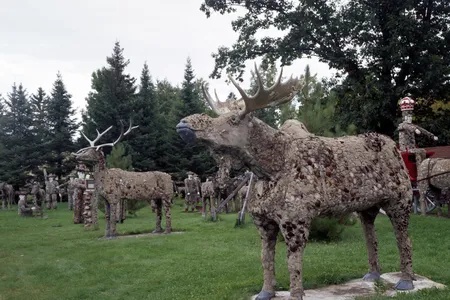 Over the years, a conservator replaced the headgear on deer with real antlers and the originals mounted on moose with synthetic alternatives.
