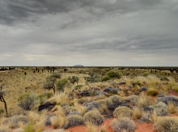 Uluru from far away. thumbnail