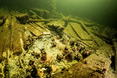 &ldquo;This wreck is an absolute, untouched monument to 19th-century diplomacy and elite international relations in Europe,&rdquo; says diver and researcher&nbsp;Pawel Truszynski.
