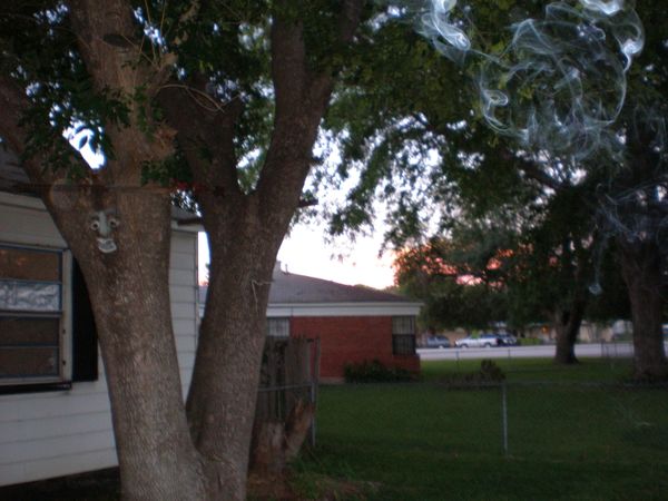 Bright orange cloud blew in while standing in front yard. thumbnail