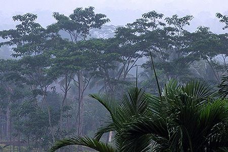 In 1948, a plane carrying Navy pilot Bobby Freeberg disappeared in the jungles of Indonesia but what happened to him after the crash remains a mystery.