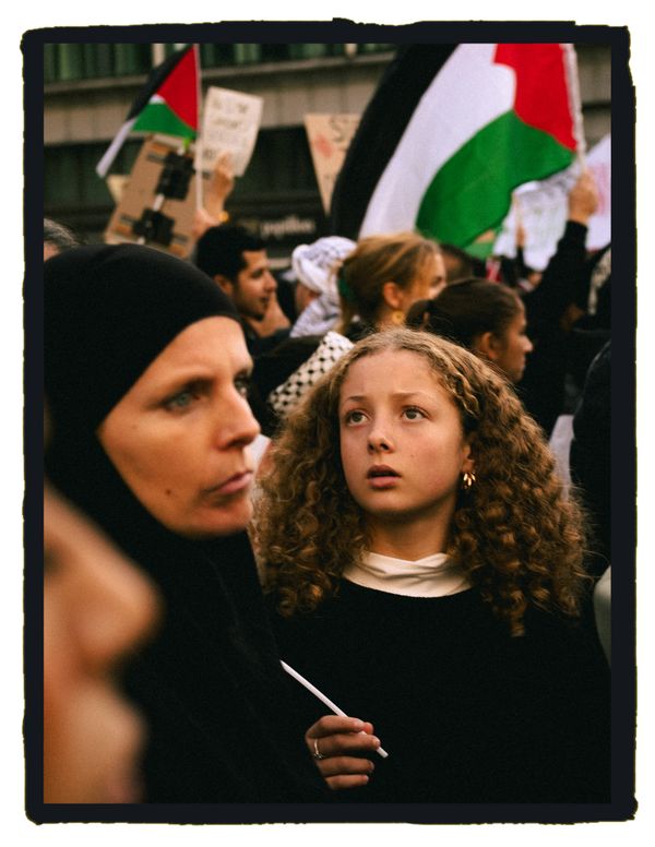 A young girl participating in a protest. thumbnail