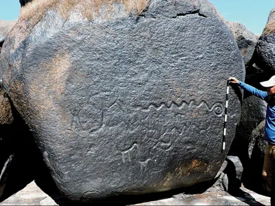 A researcher stands with a measuring tape, next to a large rock with multiple animal engravings.