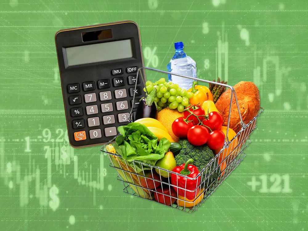 Illustration of a grocery basket and a calculator overlaid on a green background featuring economics symbols