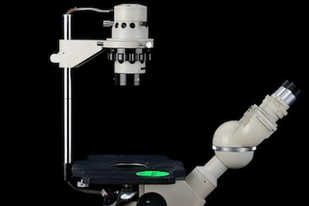 microscope