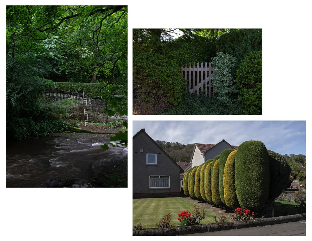 Ladder in community park; gate and border hedge; boundary hedge