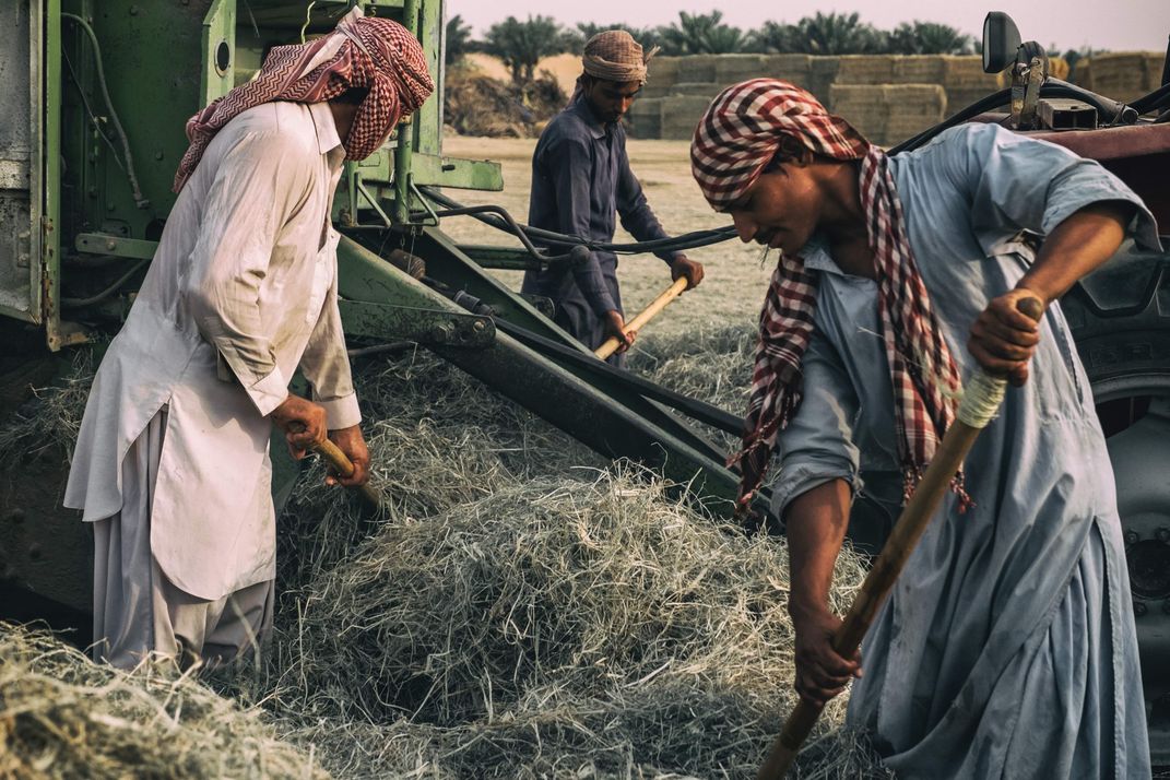 The Haystack Workers | Smithsonian Photo Contest | Smithsonian Magazine