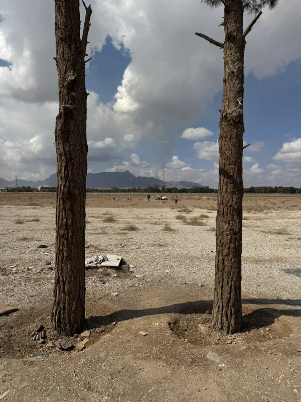 Living with industry thumbnail