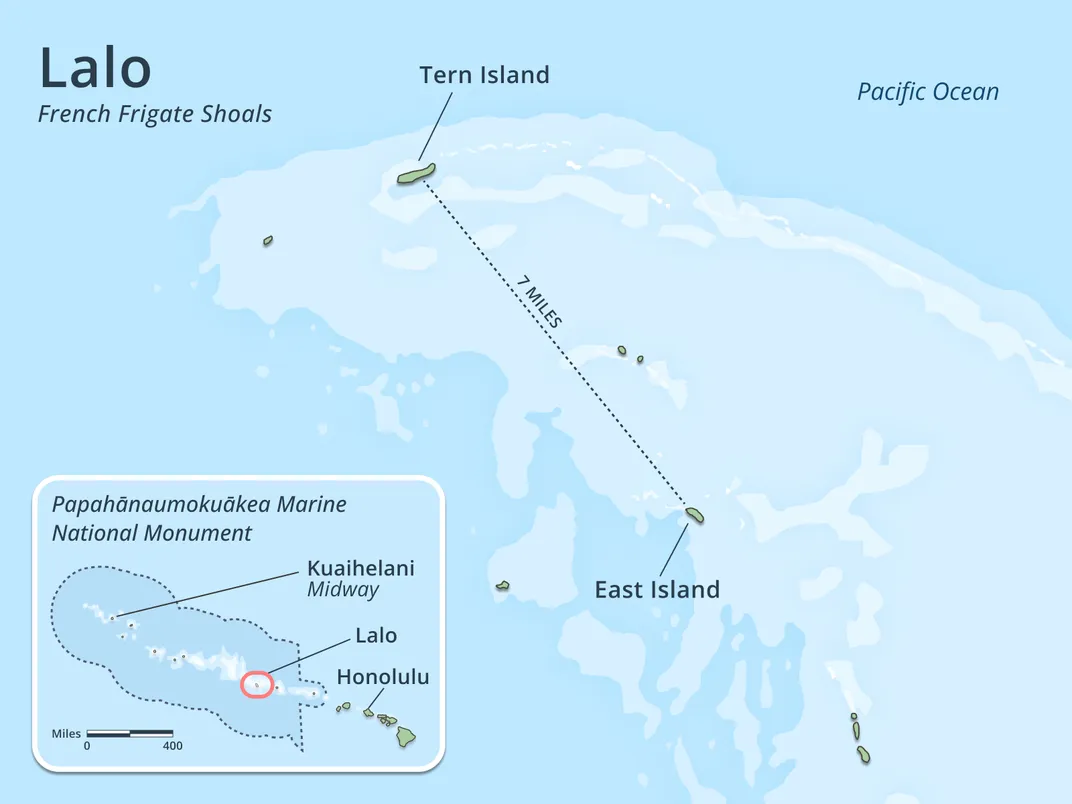 Tern Island Map