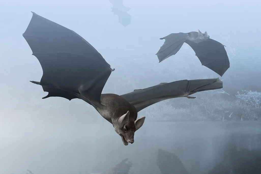 Palaeochiropteryx