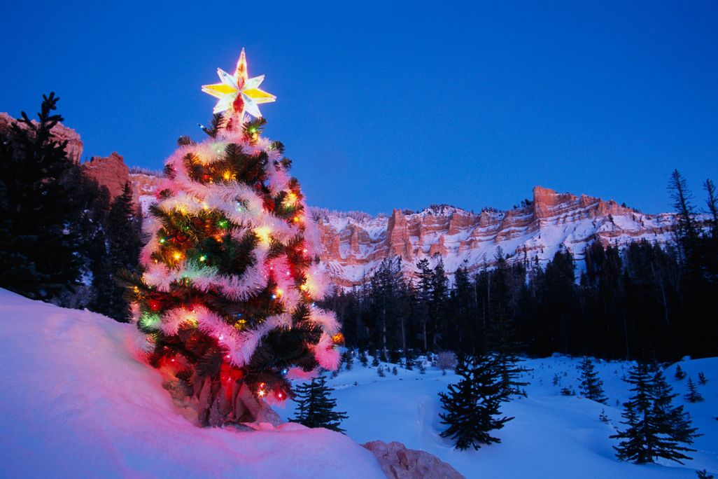 christmas star