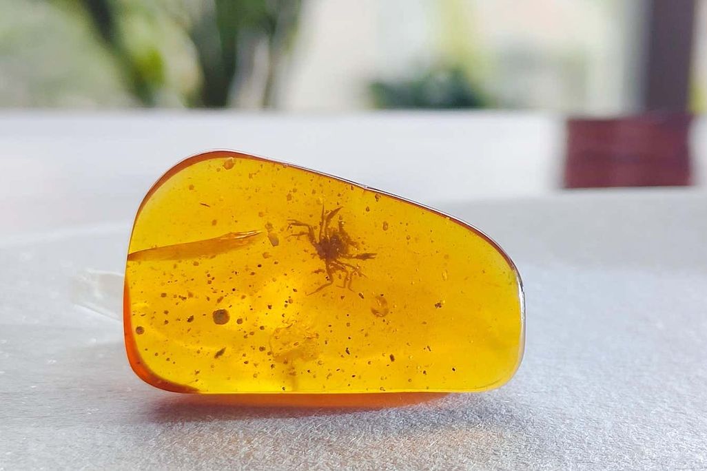 An image of a small crab encased in golden amber
