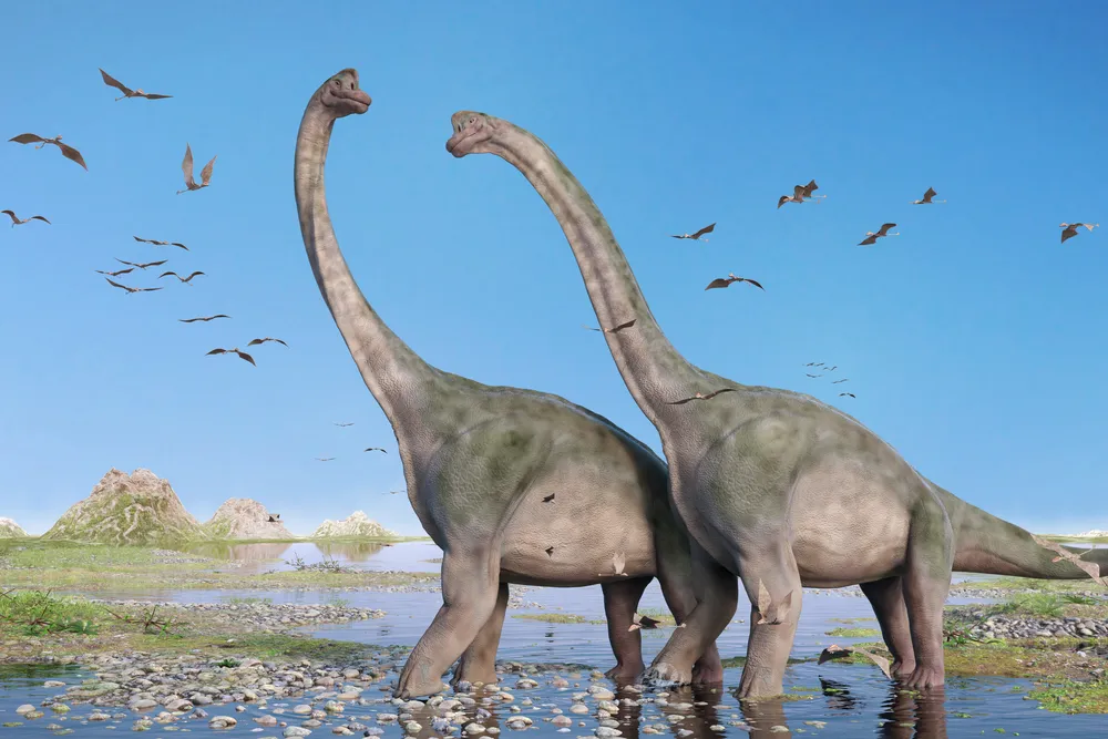 an illustration of two large Brachiosaurus walking with pterosaurs flying around them