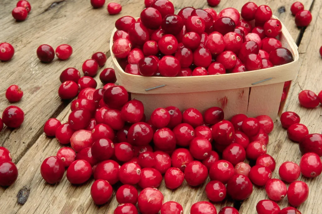Cranberries