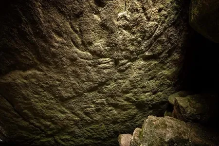 The carvings show the large antlers of adult male red deer.