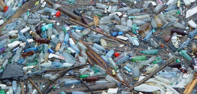 bottles washed up on a beach