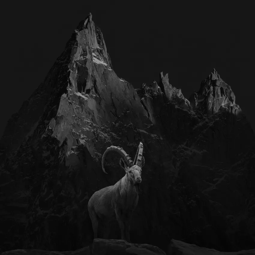 black and white shot of a goat and a mountain
