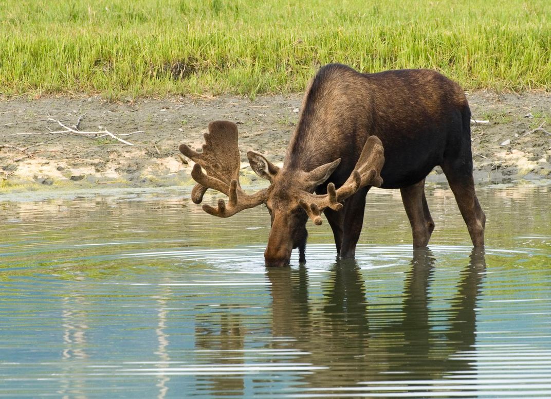 Seven Ways Alaska Is Seeing Climate Change In Action