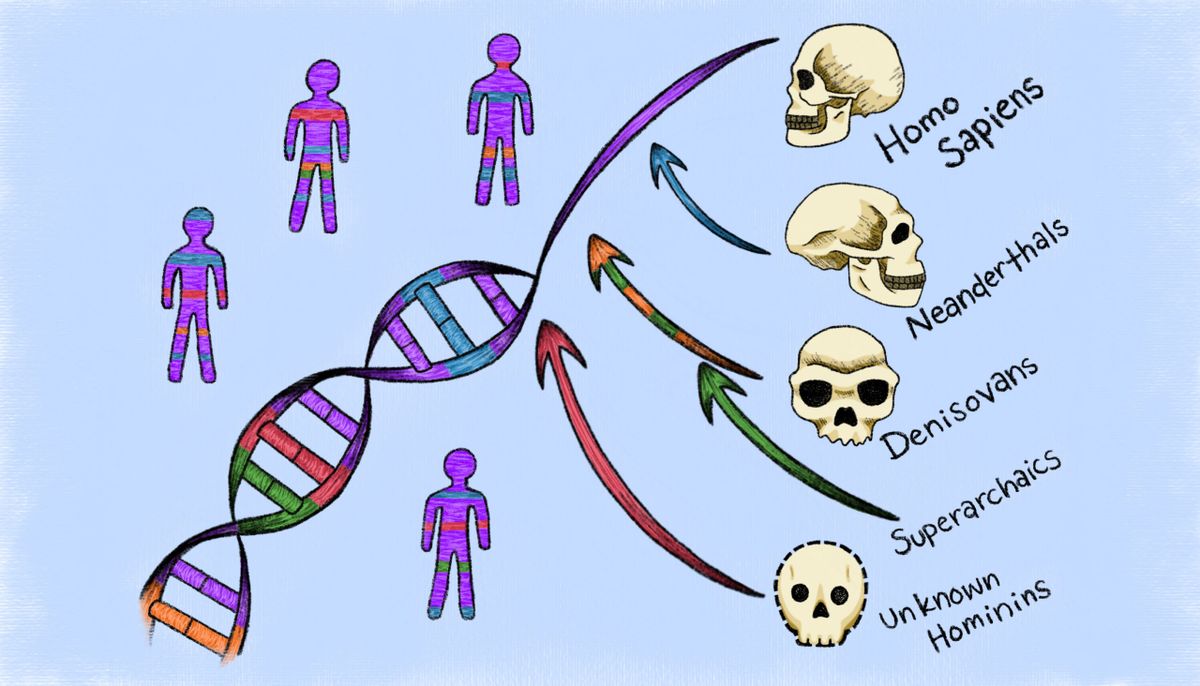 Traces of Two Extinct ‘Ghost' Ancestors Were Found Hiding in Modern Human DNA, Hinting at Our Extremely Complex Family Tree