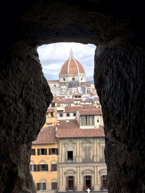 View of the Duomo from the Palazzo Vecchio thumbnail