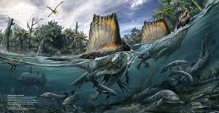 Meet the Mighty Spinosaurus, the First Dinosaur Adapted for Swimming