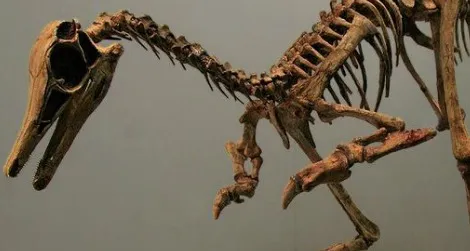 Patagonykus