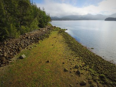 On Calvert Island, British Columbia, the subtle rock line of an extant clam garden is a reminder of how Indigenous peoples turned the sea into a shellfish garden.