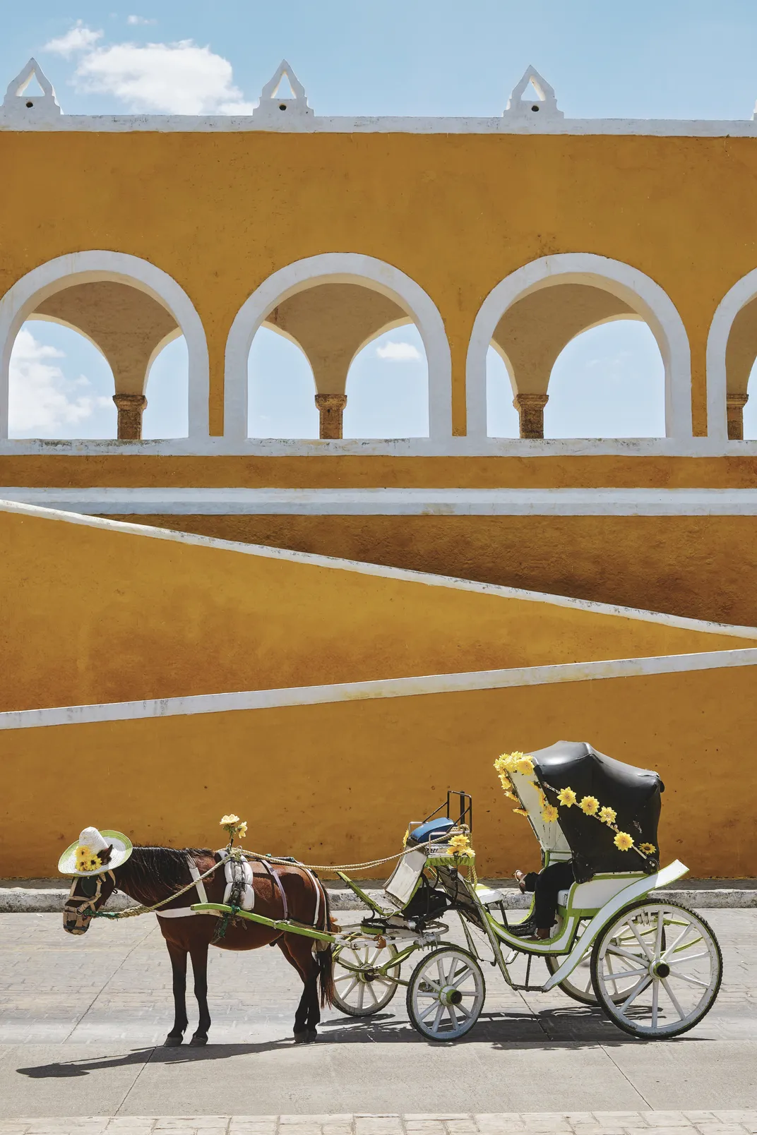 Geometry and Horse