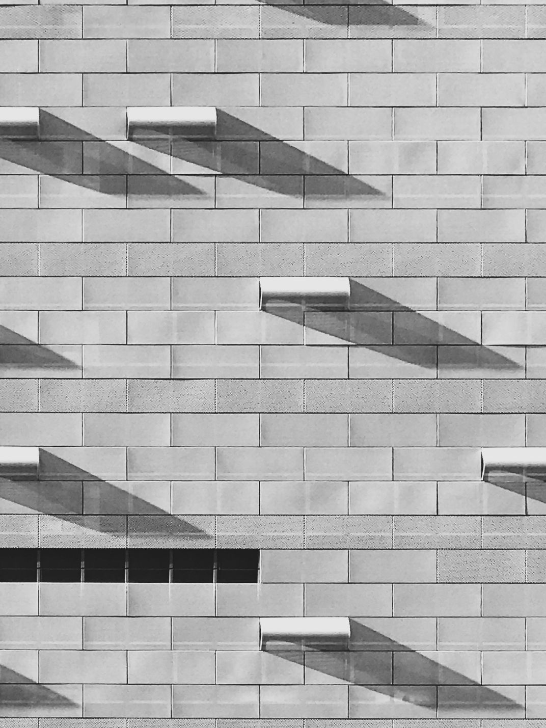 Shadow Strokes | Smithsonian Photo Contest | Smithsonian Magazine