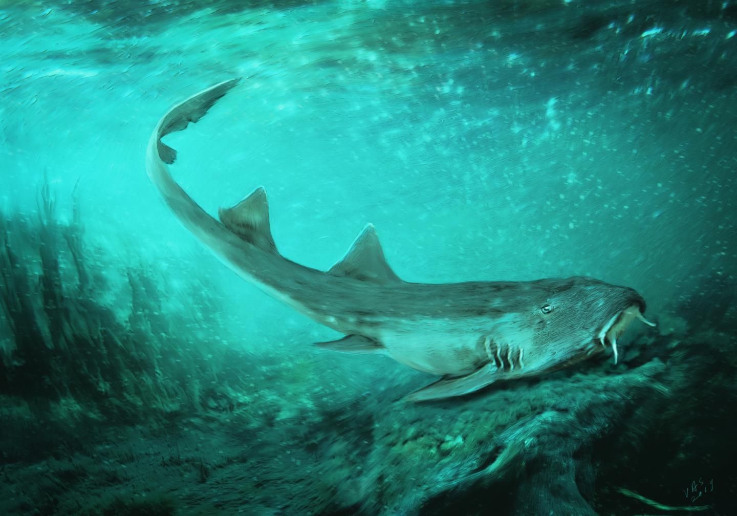 prehistoric shark